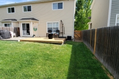 Backyard Grass Sod